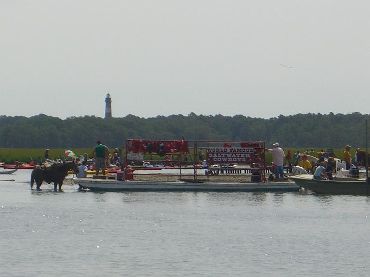 Chincoteague Pony Swim July 2007 029.JPG